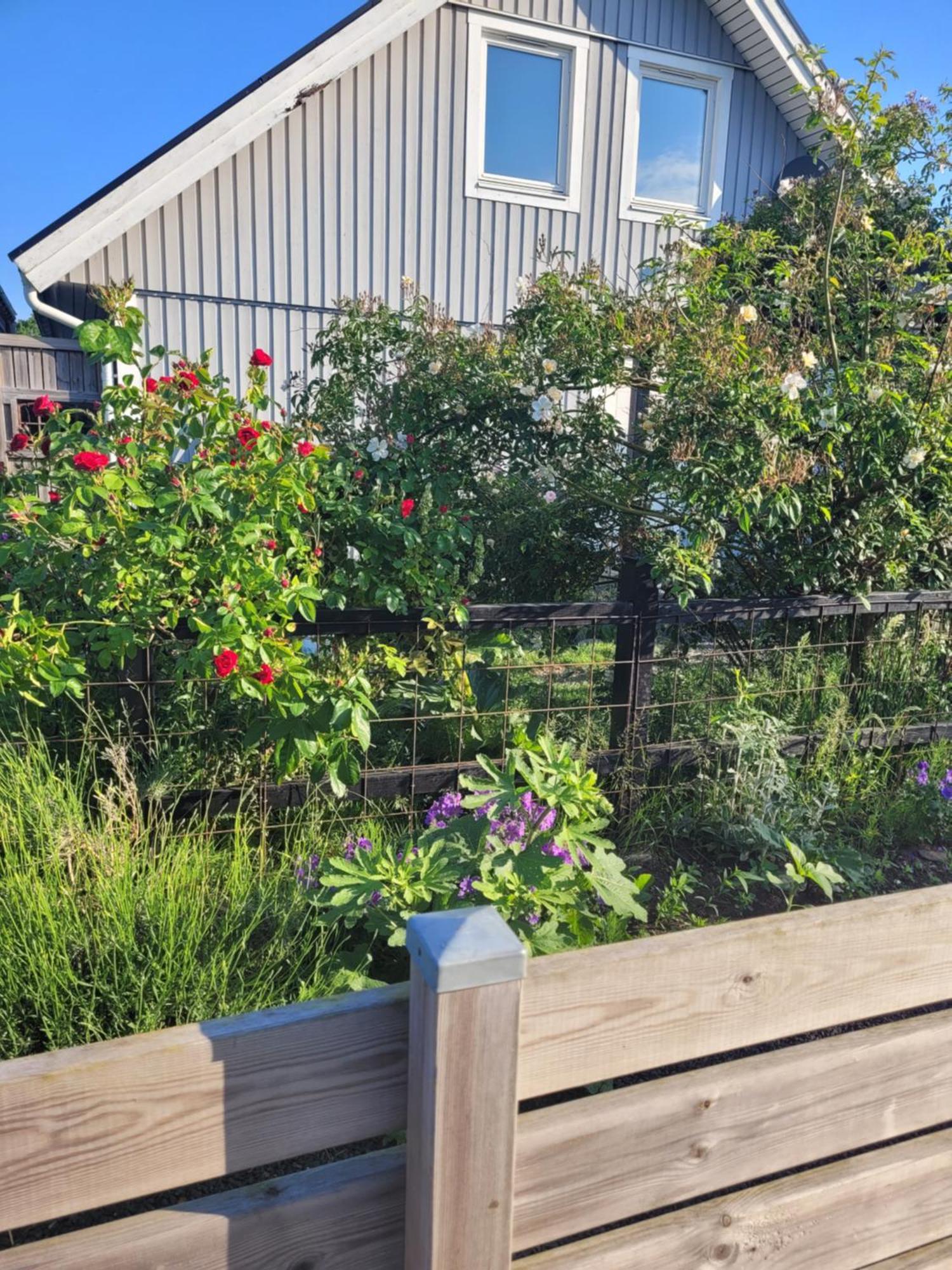 Helgas Stuga I Jonstorp Exteriör bild