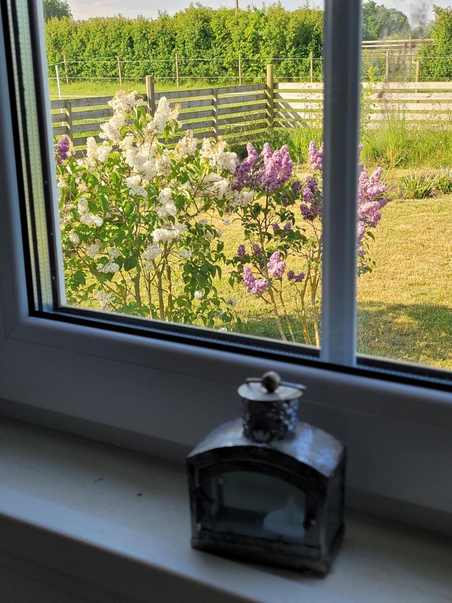 Helgas Stuga I Jonstorp Exteriör bild