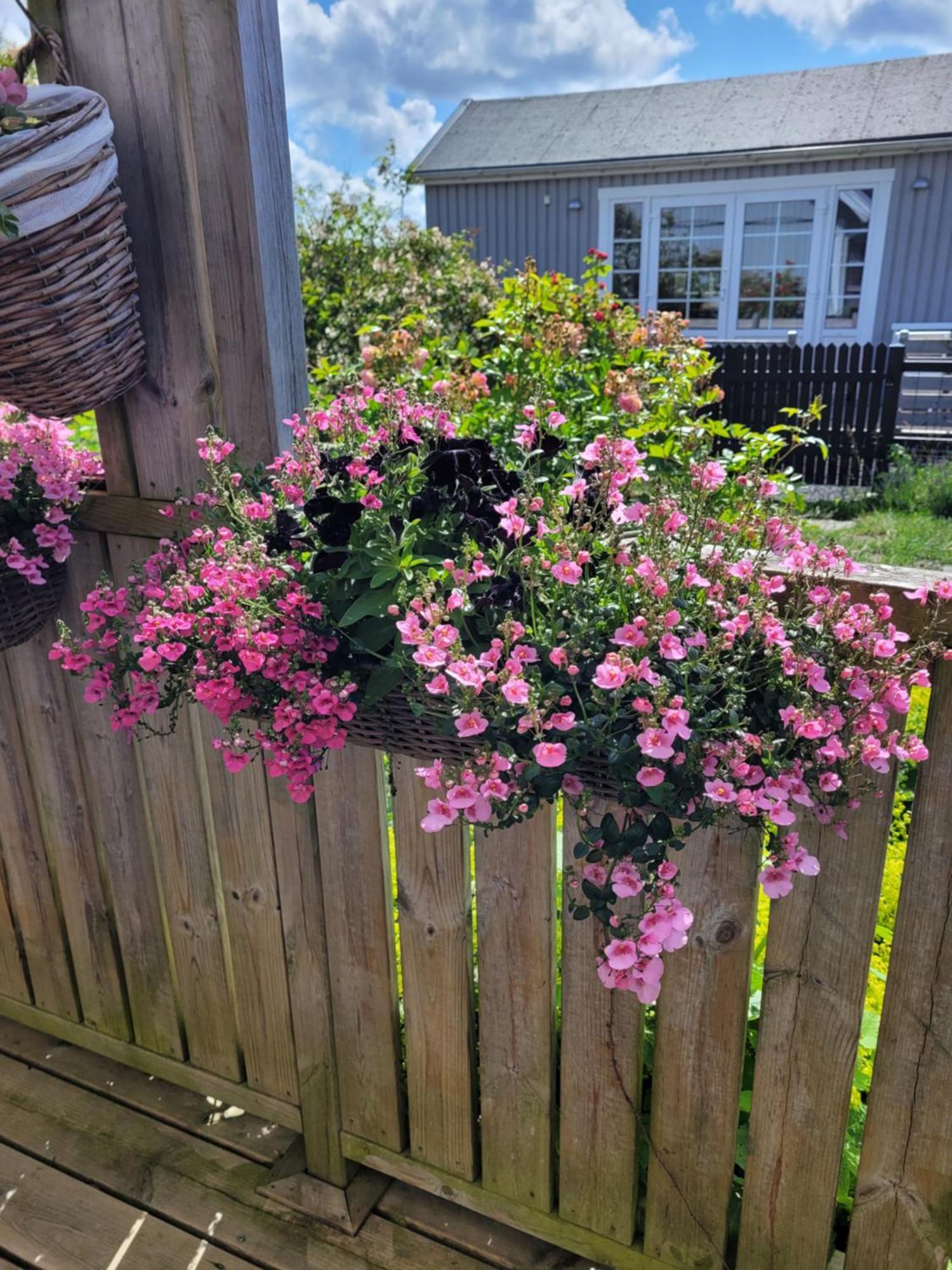 Helgas Stuga I Jonstorp Exteriör bild